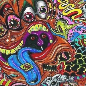 Meet your Posher, Haidyn rae